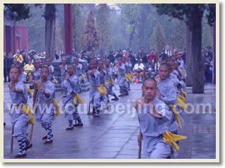 Beijing Xian Luoyang Suzhou Hangzhou Shanghai 12 Day Train Tour